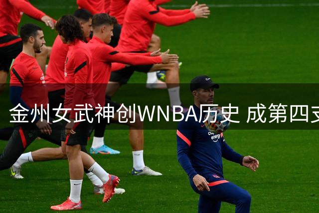 金州女武神创WNBA历史 成第四支新军连进季后赛球队